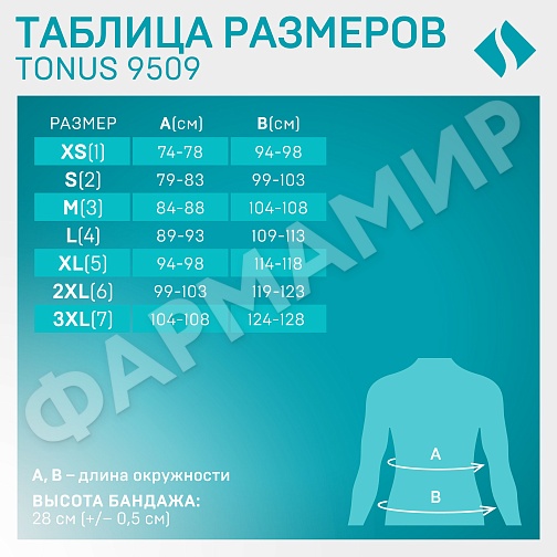 ПОЯС ЭЛАСТ 9509 -2 ТОНУС