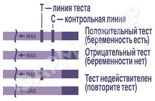 ТЕСТ Д/ОПР БЕРЕМЕННОСТИ EVITEST PLUS №2