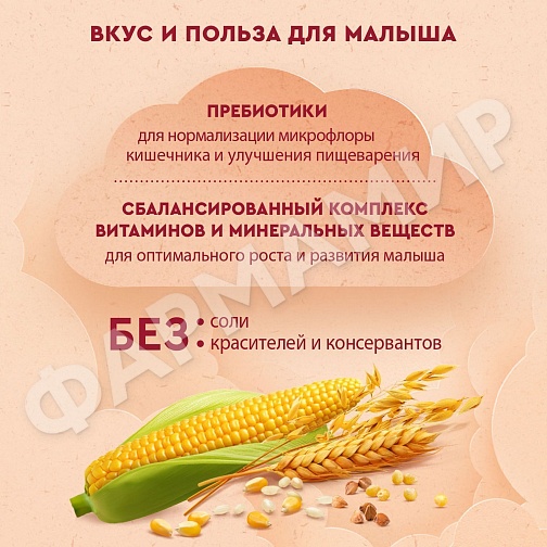 КАША БЕЗМОЛОЧНАЯ ВИННИ 7 ЗЛАКОВ С ПРЕБИОТИКАМИ 200ГР